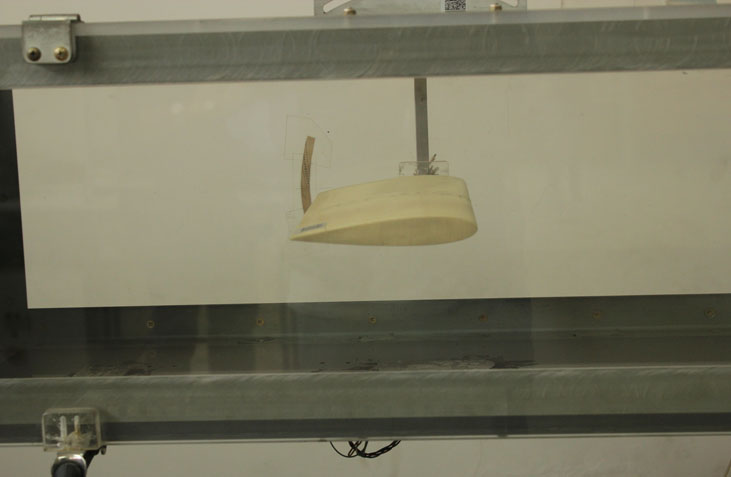 Picture 1